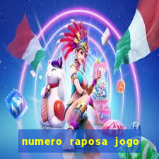 numero raposa jogo do bicho